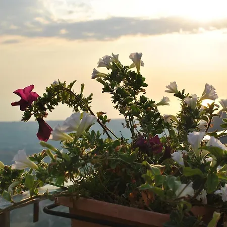 Casa Letizia Bed & Breakfast *